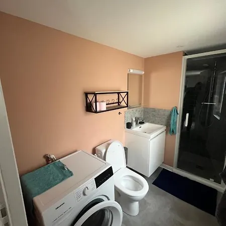 Immeuble Privatif 12 Pers, 3 Thematiques ヴァランシエンヌ